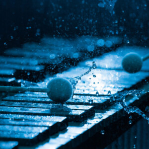 Chara Percussion Will Present REFLECTIONS: THE WATERS OF LIFE in Brewster Photo