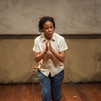 Detroit Public Theatre and Chautauqua Theater Company Bring Solo Theatre Productions  Photo