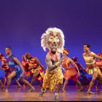 Photo Flash: Take a Look at New Photos From Disney's THE LION KING North American Tou Photo