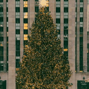 Best of NYC Christmas Concerts and Cabaret Shows - 2025