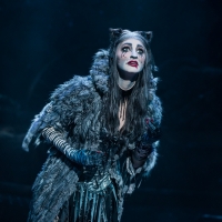 BWW Review: CATS is PAWSitively PURRfect at Dallas Summer Musicals Photo