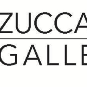 Stony Brook University's Zuccaire Gallery Presents A Solo Exhibition By Video Artist 
