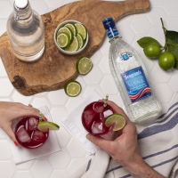 SEAGRAM'S EXTRA SMOOTH VODKA and Holiday Cocktail Recipes