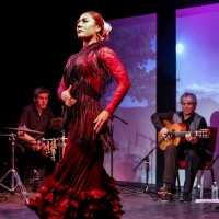 Compañia Chuscales & Mina Fajardo and Teatro Paraguas to Present HOLIDAY FLAMENCO in Photo