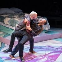BWW Review: THIS BITTER EARTH at Theater Alliance