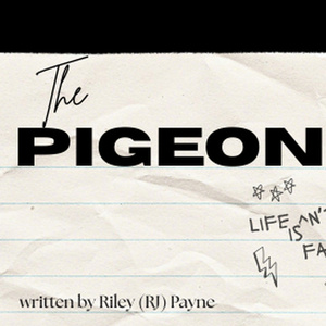 New Play By Riley (RJ) Payne THE PIGEON To Debut At The Tank Interview