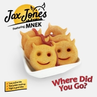 Jax Jones Releases New Single 'Where Did You Go?'