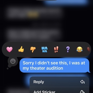 Student Blog: To Audition or not to Audition, that is the question.