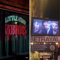 BWW Blog: The Privilege of Stage Dooring