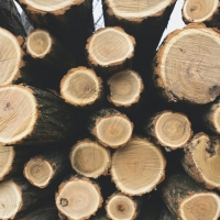 Student Blog: Why Sky-High Lumber Prices are a Big Deal Video