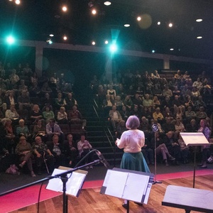 WRITE OUT LOUD to Present 20th Anniversary Season of Story Concerts Photo