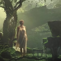 VIDEO: Watch the Music Video for Taylor Swift's New Song 'cardigan'