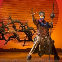THE LION KING, DEAR EVAN HANSEN and More to be Presented in Broadway at the Bass…