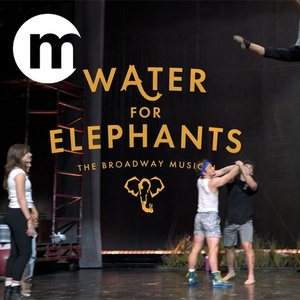 Video: Watch the Acro Call for WATER FOR ELEPHANTS in Toronto Photo