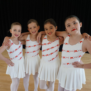 North Shore Civic Ballet Will Launch Its Holiday Auction On November 16 Photo