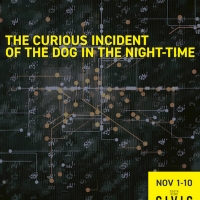 THE CURIOUS INCIDENT OF THE DOG IN THE NIGHT-TIME Premieres November 1 At South Bend  Video