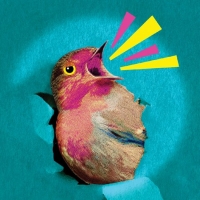 Pearl Sun, Kristine Nielsen & More to Star in REGRETFULLY, SO THE BIRDS ARE World…