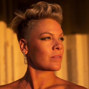 P!NK to Moderate Dr. Shefali Book Discussion at bergenPAC Photo