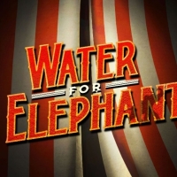 Tickets Now On Sale For The World Premiere of WATER FOR ELEPHANTS at The Alliance The Photo