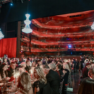 Seven Finalists Named for Canadian Opera Company's Centre Stage Competition Photo