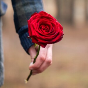 ROMEO AND JULIET to Open Madison Shakespeare Company's Third Season Photo
