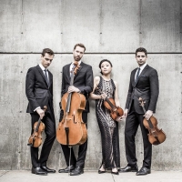 Tesla Quartet Returns to LOTS OF STRIINGS Music Festival at the Morris Museum