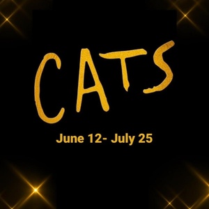 Review: CATS at Arizona Broadway Theatre Photo