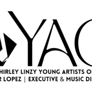 Young Artists Orchestra Of Las Vegas Celebrates 10 Year Anniversary With Concert Gala