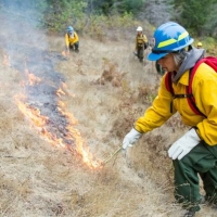 New Documentary About Wildfire Screens At Park Theatre For Earth Day Weekend Video