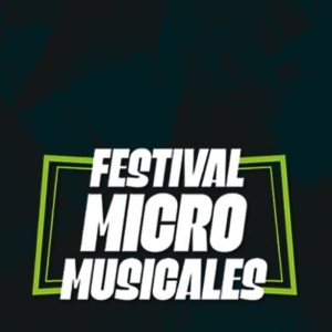 Este verano tendrá lugar el Festival de Micromusicales