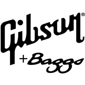 Photos: Gibson and Baggs Announce HiFi DNA Pickup System for Acoustic Guitars Photo
