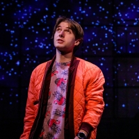 BWW Review: THE CURIOUS INCIDENT OF THE DOG IN THE NIGHT-TIME at SHEA'S 710 Theatre Photo