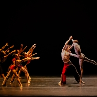 BWW Review: COMPLEXIONS CONTEMPORARY BALLET: SNATCHED BACK FROM THE EDGES at The Joyc Photo