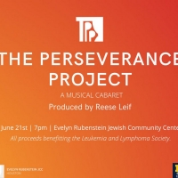 THE PERSEVERANCE PROJECT: A Musical Fundraiser Announced at Kaplan Theatre Photo