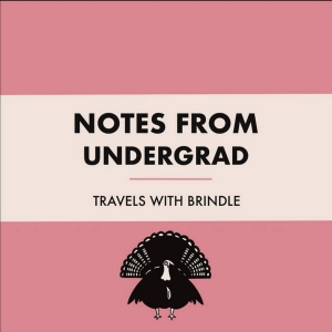 Travels With Brindle to Release New Album NOTES FROM UNDERGRAD in June Photo
