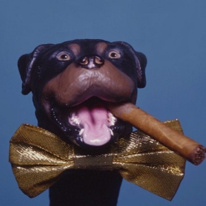Triumph The Insult Comic Dog is Coming To The Den Theatre Photo