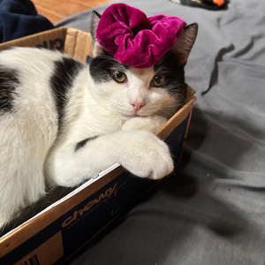 Student Blog: Student Blog: Time to Reflect Photo