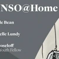 VIDEO: Carole Bean, Michelle Lundy, and Will Joseloff Perform as Part of NSO @ Home Photo