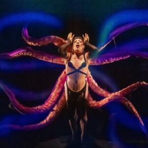 ARIAS WITH A TWIST to Extend Run at HERE Arts Center Photo