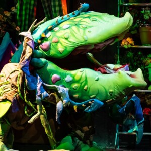 Review: LITTLE SHOP OF HORRORS Delights at La Mirada Theatre