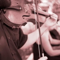 Cultural Events Begin to Return to Vienna