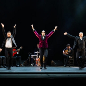 Manuel Liñán, Alfonso Losa, El Yiyo & More to Join Gala Flamenca at New  Photo