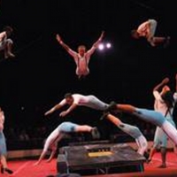 Circus Harmony Honored by FOCUS St. Louis Photo