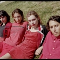 The Paranoyds Share New Song and Video Video