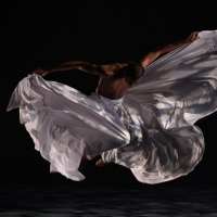 Go Behind-the-Scenes With Dimensions Dance Theatre Of Miami At The Moss Center, March Interview
