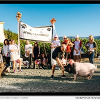 Star Vintners And Top Innovators In Food And Wine Take The Stage At 9th Annual WineaPAWloo Photo