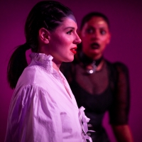 BWW Review: HAMLET IN THE OTHER ROOM at Rumpus, 100 Sixth Street, Bowden Photo