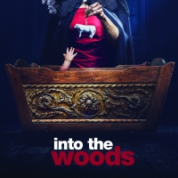 Cast & Creative Team Announced for INTO THE WOODS at Signature Theatre Photo