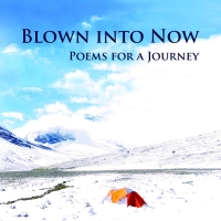 Mylo Schaff Releases New Book BLOWN INTO NOW