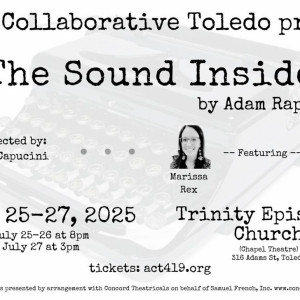 Actors Collaborative Toledo to Present Adam Rapp's THE SOUND INSIDE  Photo